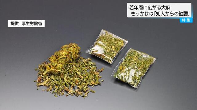 若者の間で大麻が蔓延　きっかけは「知人からの勧誘」「好奇心や興味本位」　SNSには大麻の危険性を軽視する情報も